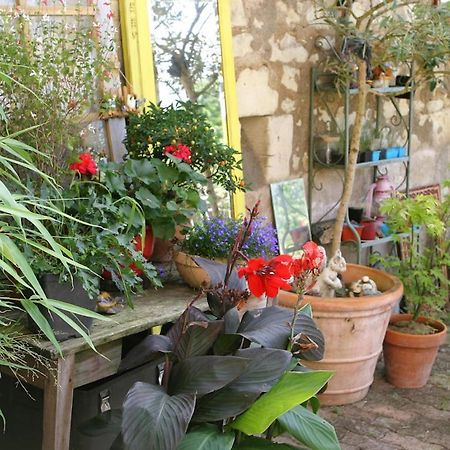 Bed and Breakfast Les Petites Mirabelles Noyers-sur-Cher Exterior foto