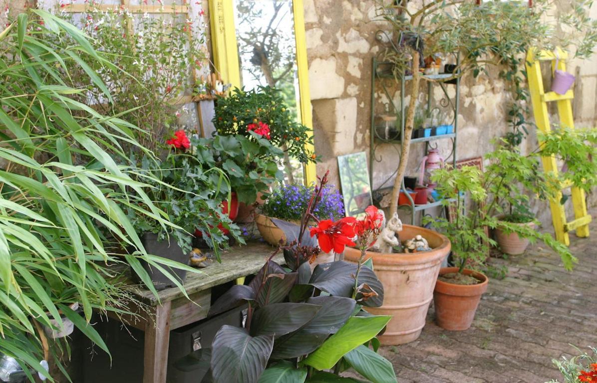 Bed and Breakfast Les Petites Mirabelles Noyers-sur-Cher Exterior foto
